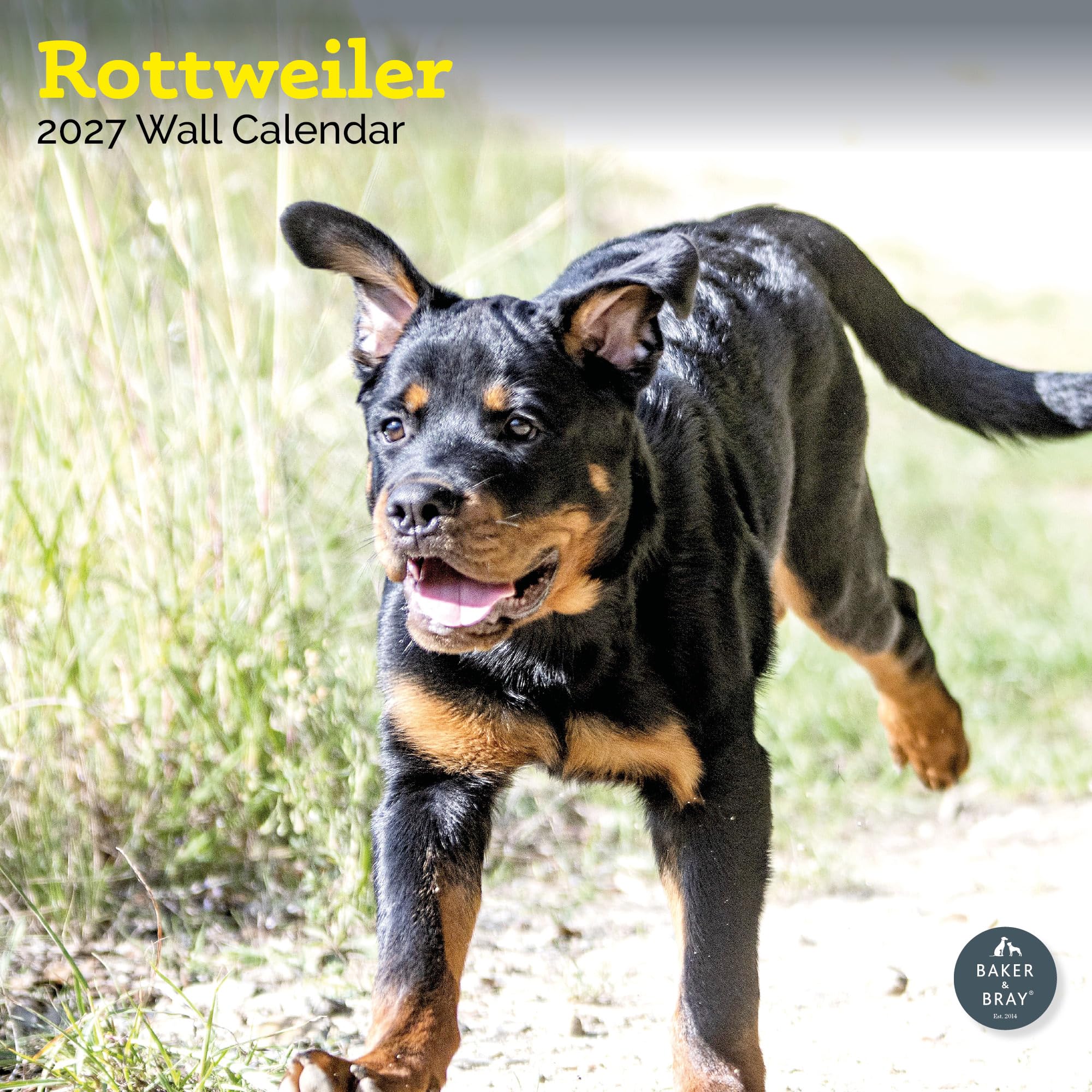 Baker and Bray Rottweiler Calendar 2027, Large