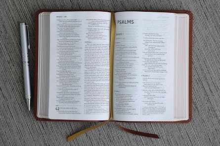 NIV, Thinline Bible, Compact, Leathersoft, Brown, Red Letter, Comfort Print