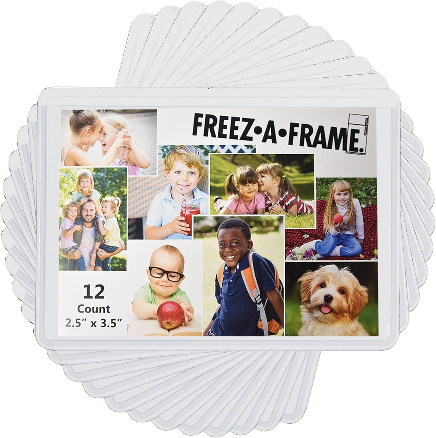 12 Pack Magnetic Wallet Picture Frames Holds 2 1/2" X 3 1/2" Pocket Photo for Refrigerator by Freez-A-Frame Made in the USA