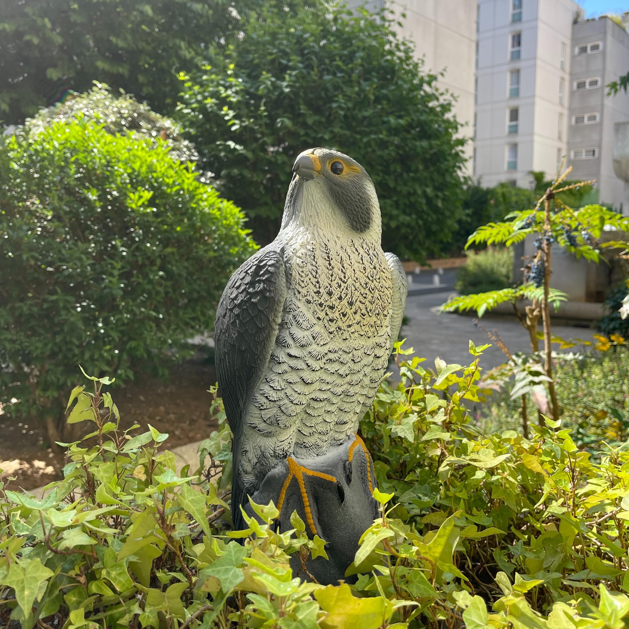 Faucon Pèlerin - Épouvantail Ultraréaliste pour Protéger Jardins et Balcons