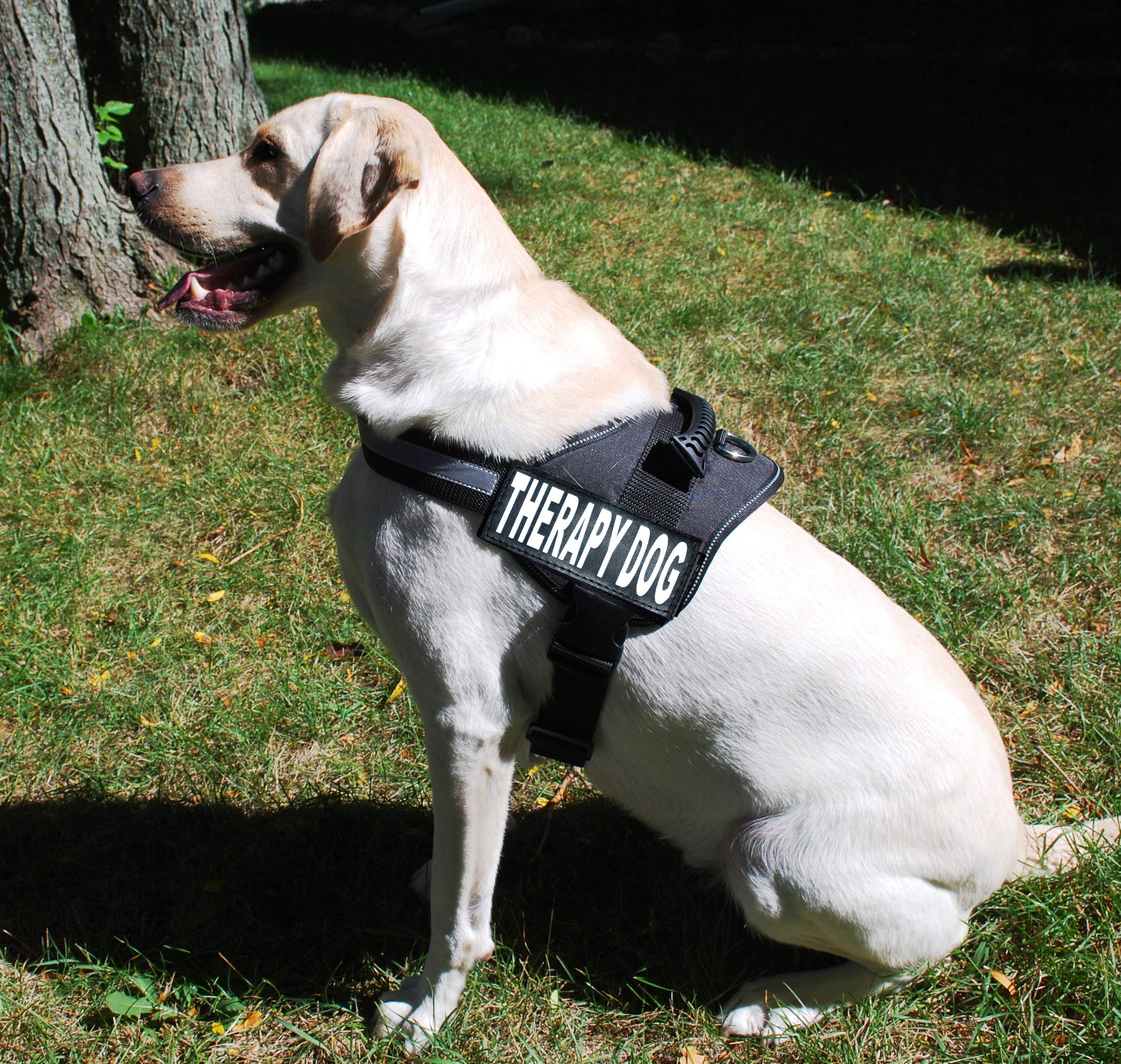 Terapia Cane Harness Servizio Giubbotto da Lavoro Giacca, Acquisto Viene fornito con 2 Terapia Cane Riflettente Rimovibile Patches. Si prega di Misurare Il Cane Prima Di