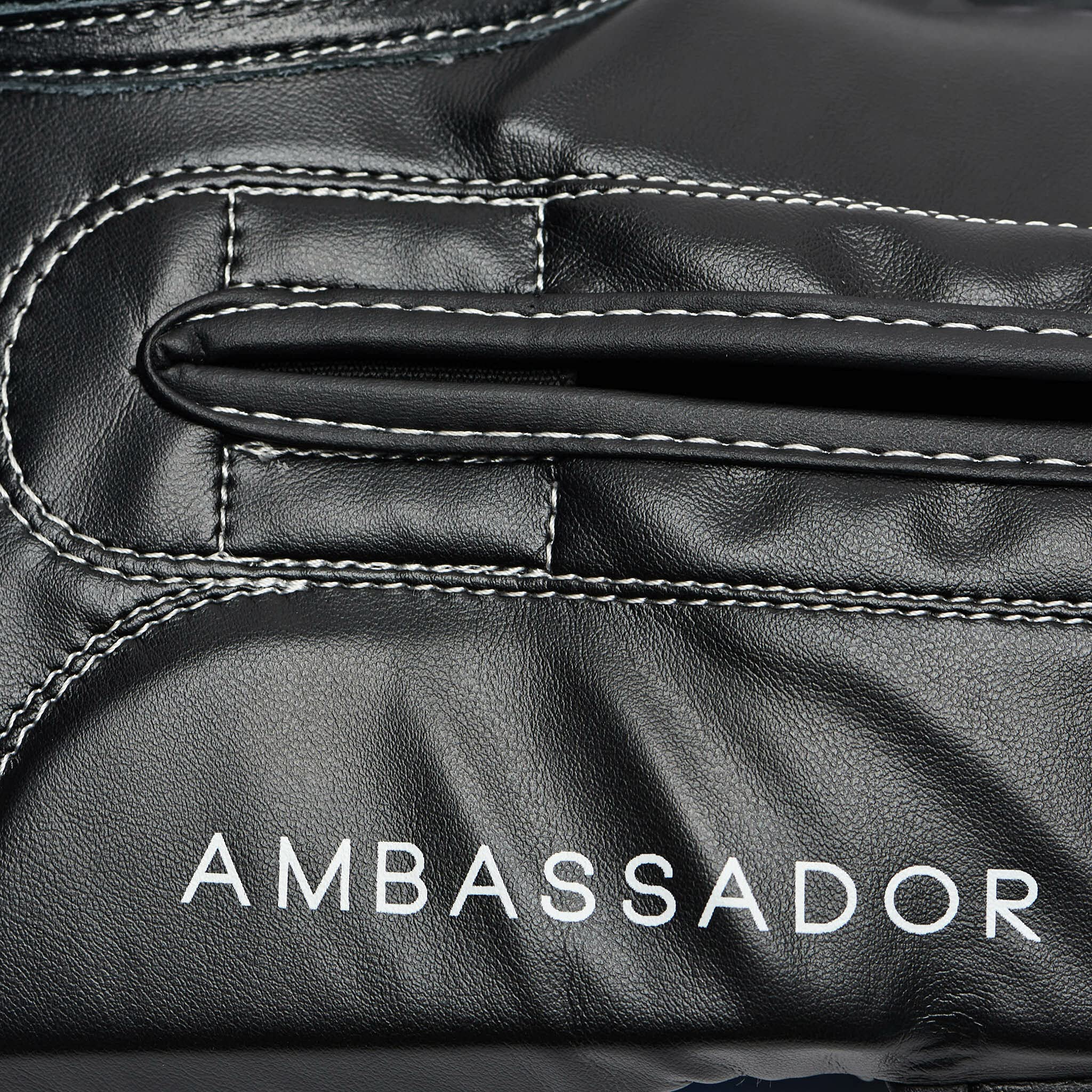 LEONE 1947 Ambassador, Guantoni da Boxe Unisex Adulto