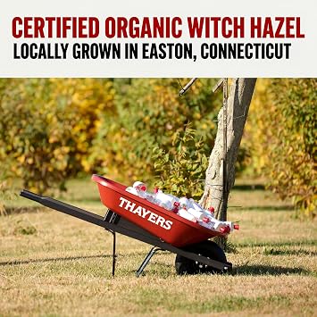 Thayers Witch Hazel Alcohol Freetner Aloe Vera Formula Cucumber 355ml