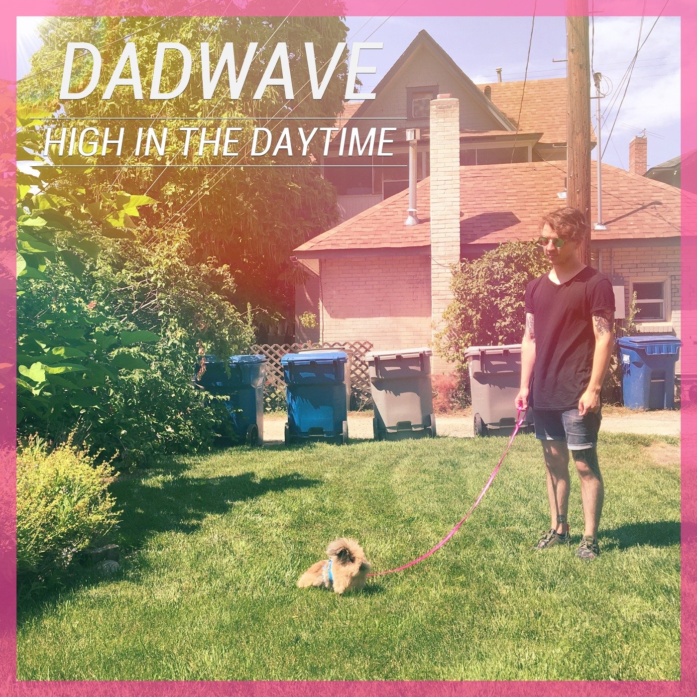 DADWAVE