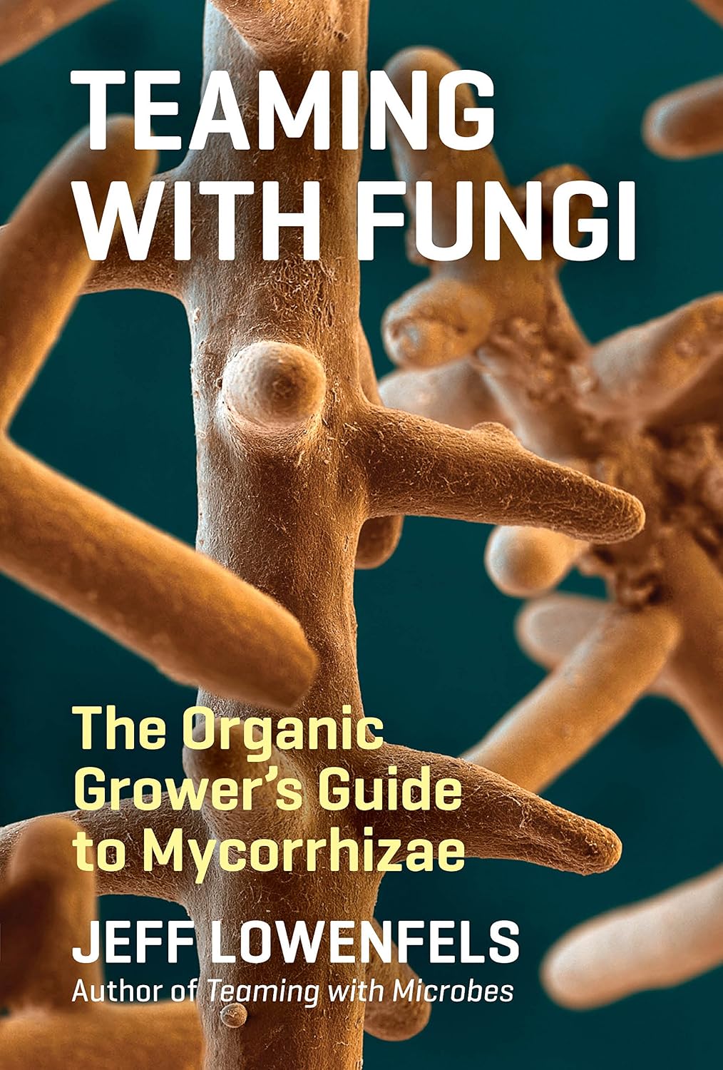 Almost every plant in a garden forms a relationship with fungi, and many plants would not exist without their fungal partners. By better understanding this relationship, home gardeners can take advantage of the benefits of fungi, which include an increased uptake in nutrients, resistance to drought, earlier fruiting, and more.