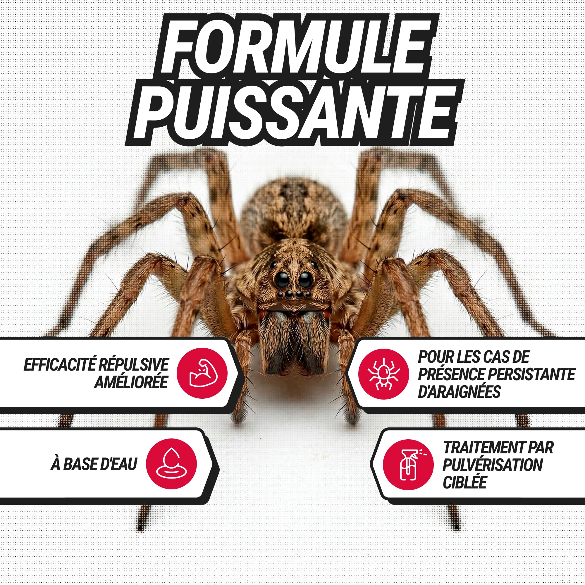 RepellShield® Spray Anti Araignées Maison & Jardin -500ml- Non Tachant, Prêt à l'Emploi, Usage Intérieur & Extérieur - Répulsif Araignée à la Menthe Poivrée, Géraniol, Extrait de Chrysanthème