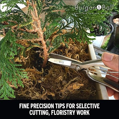 Miniatura 2 de Burgon & Ball GSC/PRESEC Sophie Conran podadoras manuales, color plateado