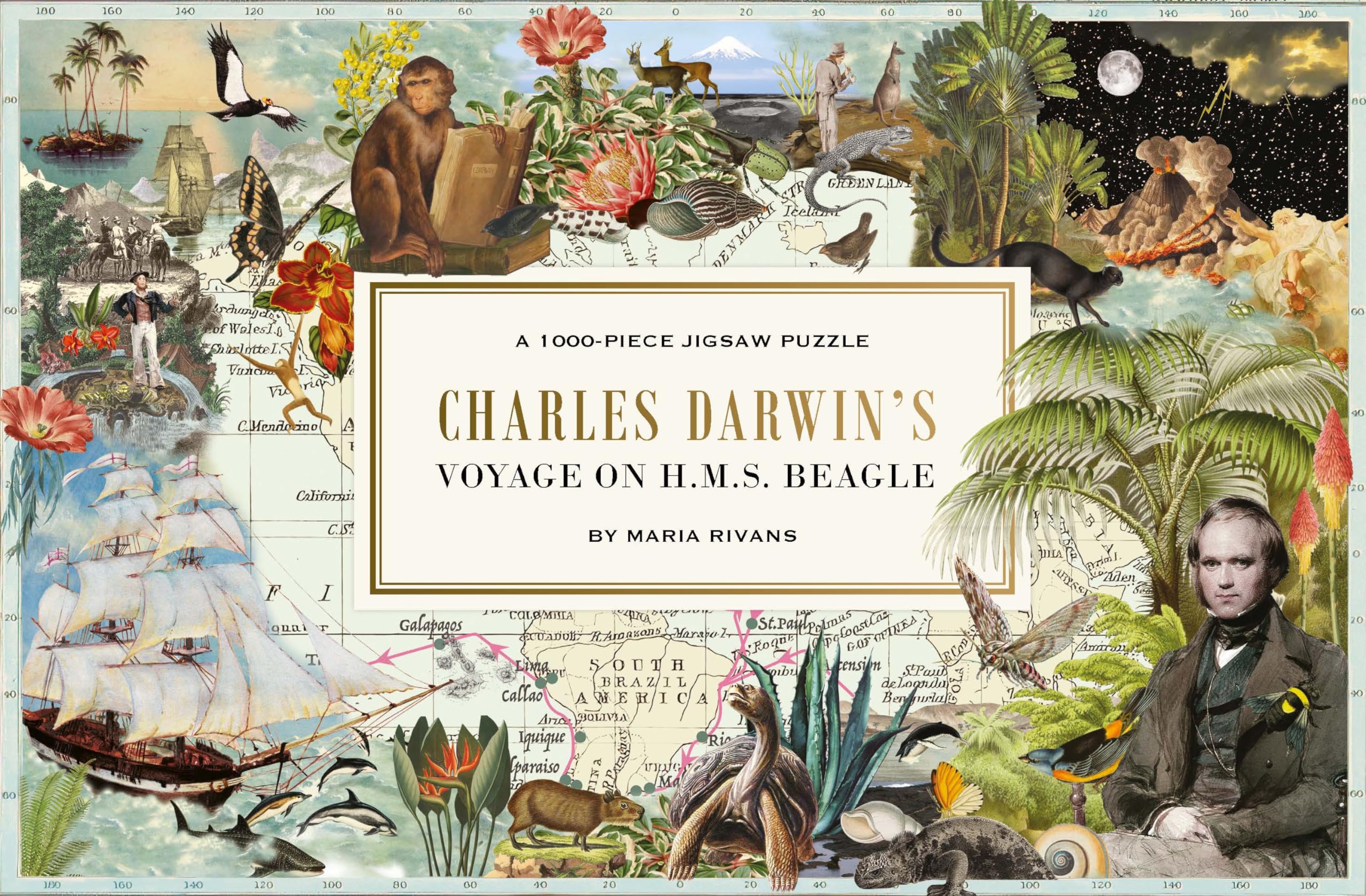 The Voyage of HMS Beagle: Charles Darwin's Journey of Discovery: a 1000-piece Jigsaw Puzzle