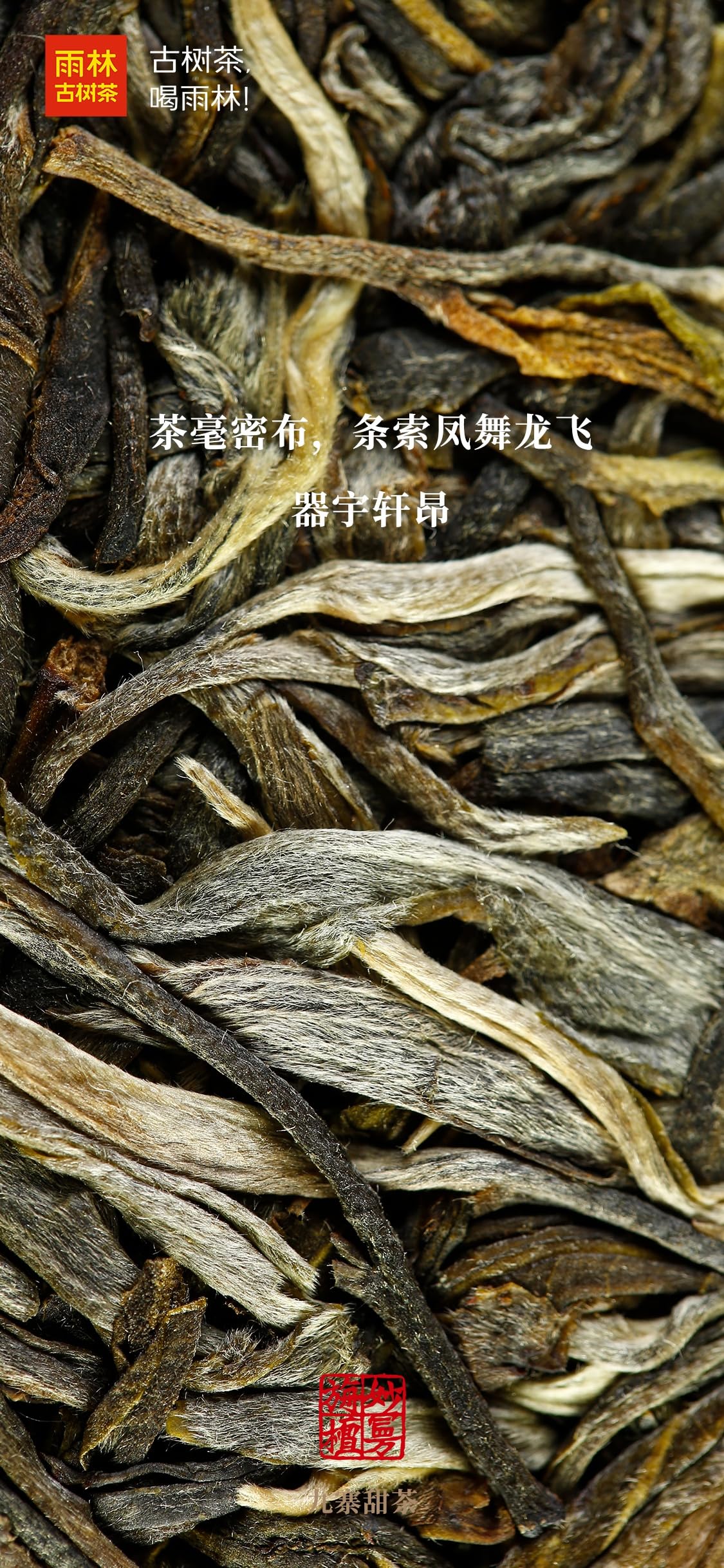 2018 Yulin Miaoman Zhantan Tè Pu-Erh Crudo (Sheng) Albero Antico, 357g