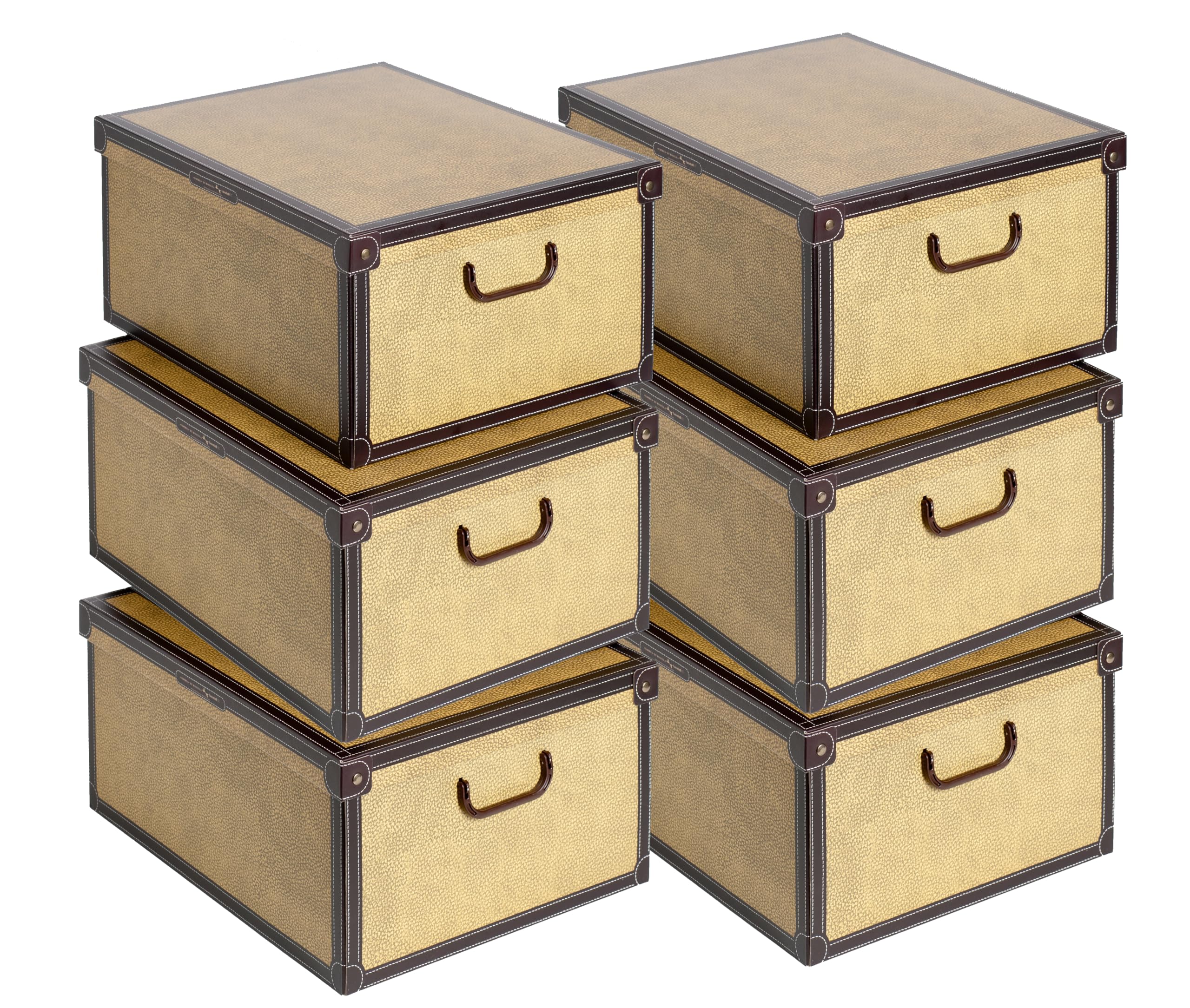 Set aus 6 Aufbewahrungsboxen mit Deckel – Große Kleiderboxen aus Karton 40x50x25 cm – Robust, leicht zu montieren, mit Tragegriffen – Perfekt für Kleiderschrank & Saisonwechsel Tapirus