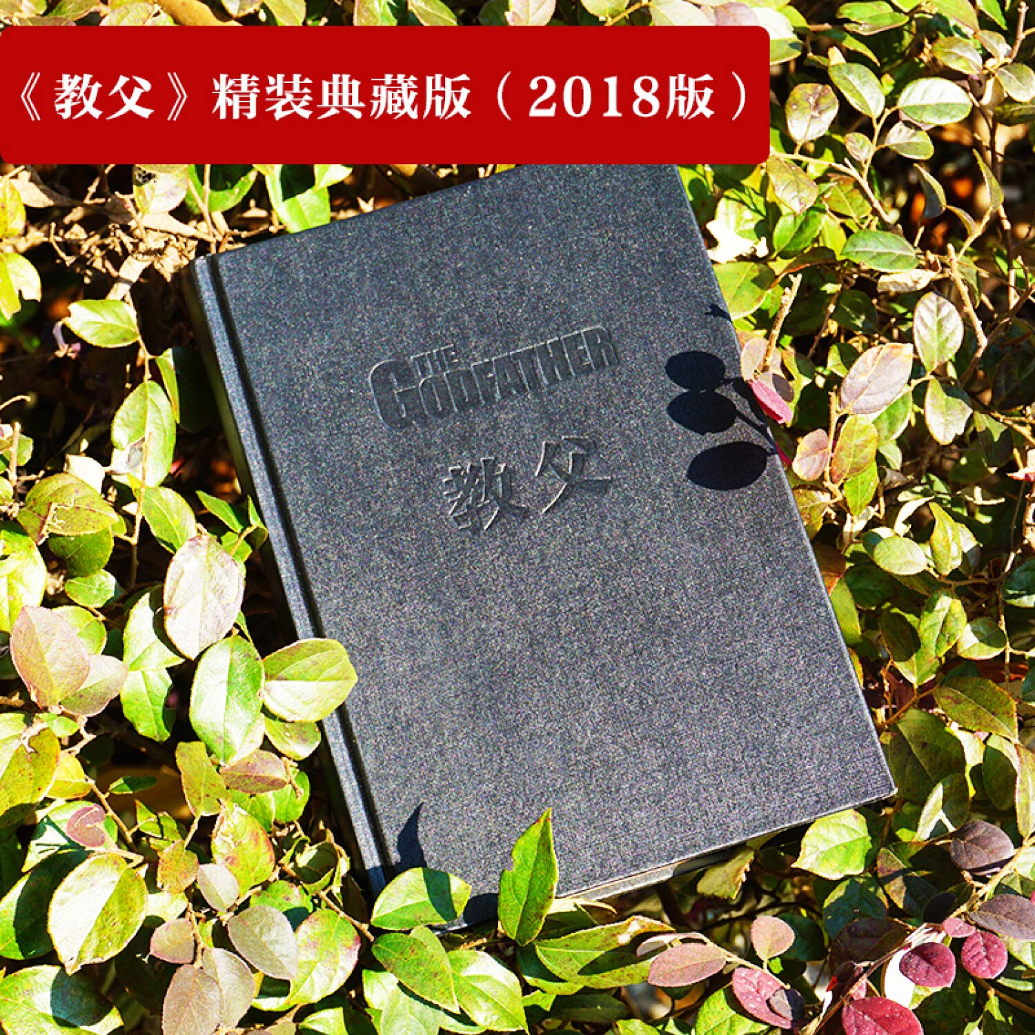 教父（精装典藏版）      Paperback – June 1, 2018