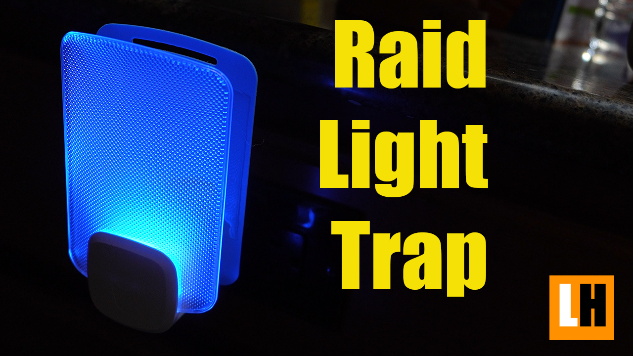 Watch Raid Light Trap - Plug IN Fly Trap on Amazon Live