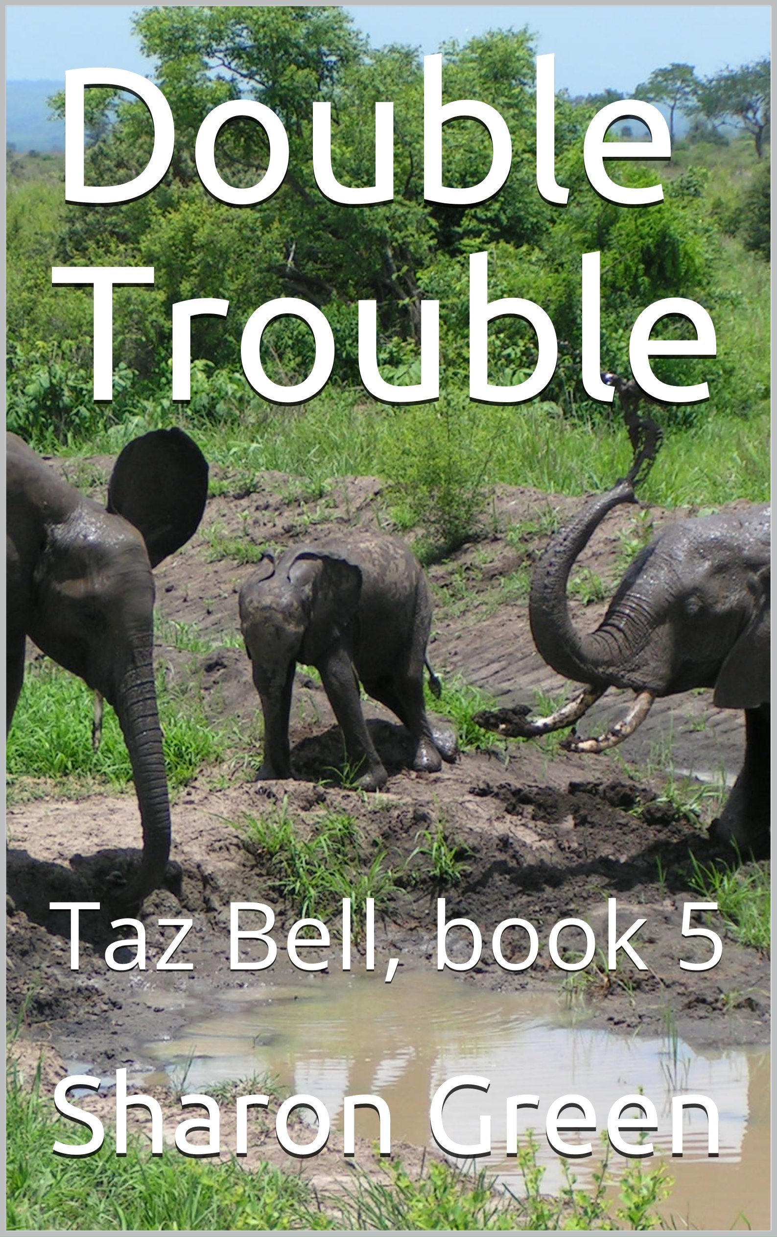 Cover of Double Trouble