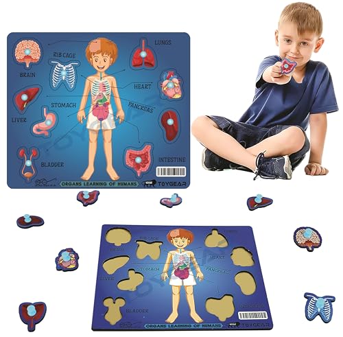 Image of Wooden Male Human Body Parts Learning Toys Puzzle for Brain Training /Jorky Cutting Puzzle for Home /School /Non-Toxic /Education Memory Games for Baby Boy and Girl (Suggested by Expert)