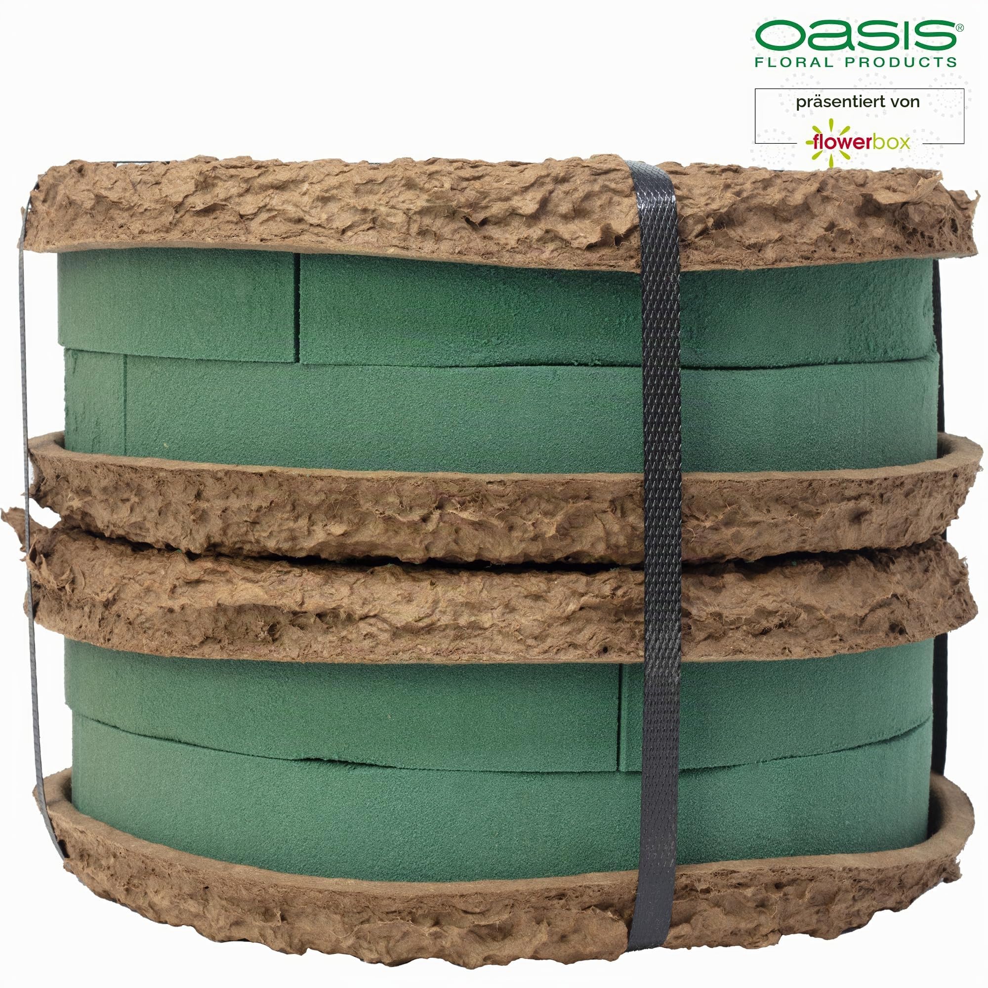 OASIS Steckschaum BIOLIT Ring Ø24cm Steckmasse Steckschwamm - 4 Stück