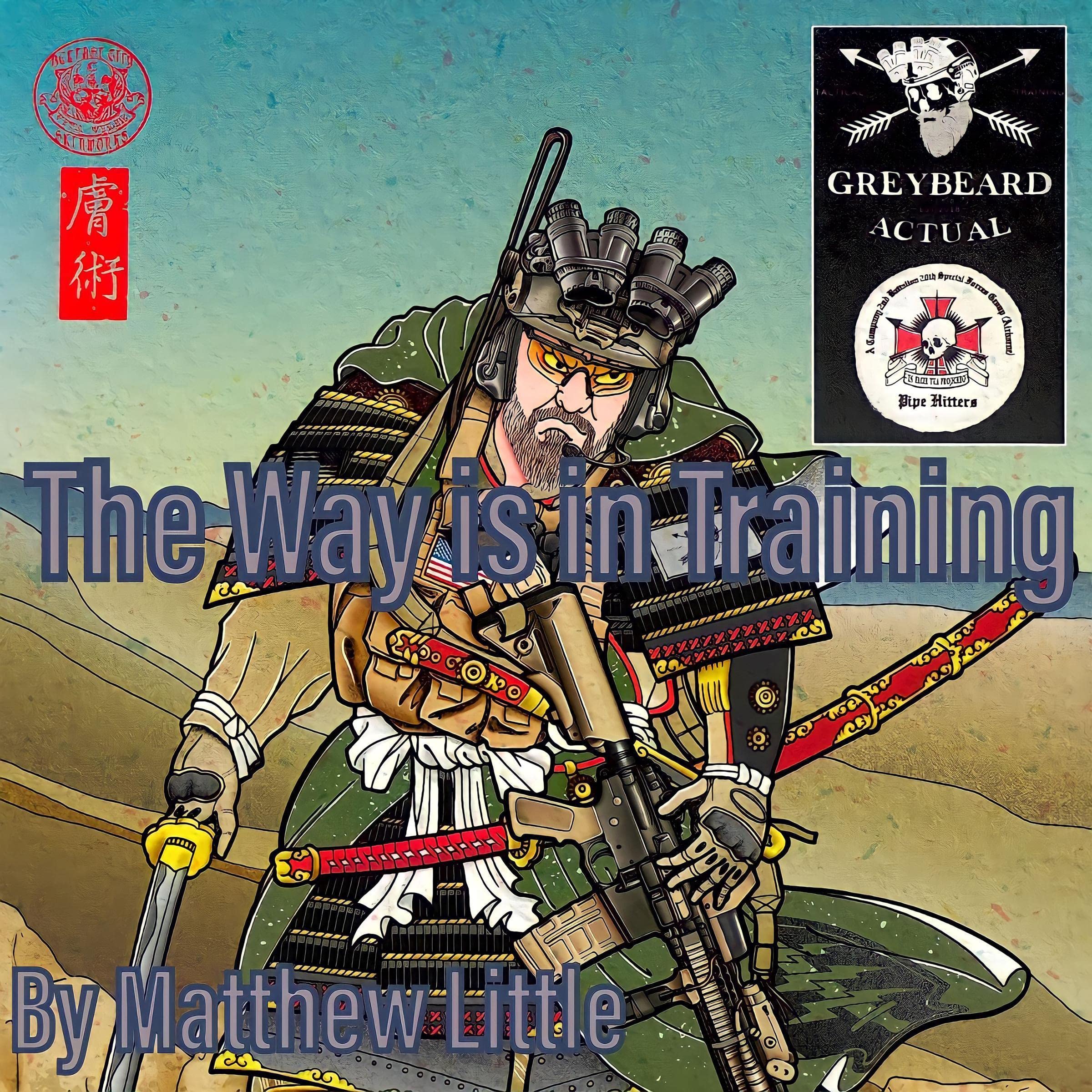 Cover art for The Way is in Training