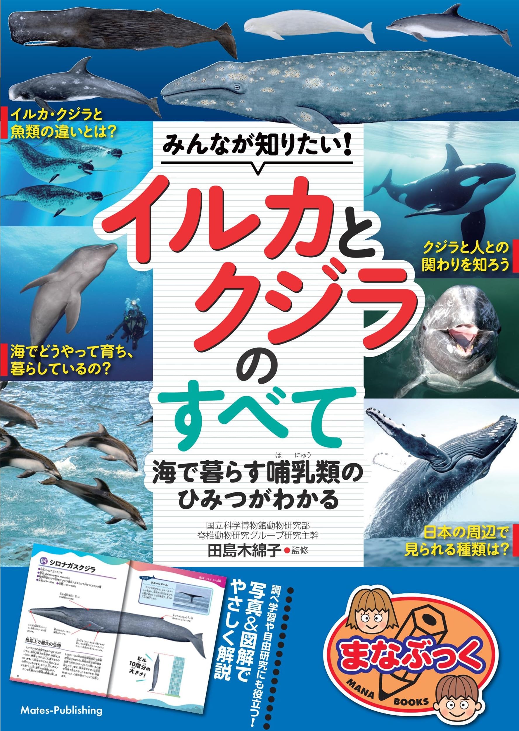 みんなが知りたい! イルカとクジラのすべて 海で暮らす哺乳類のひみつ