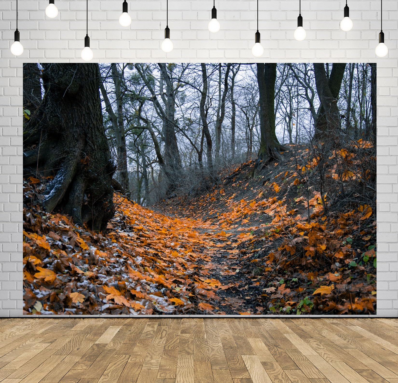 20x10FT (6x3m) Sentiero Nel Bosco Autunnale Sfondo Fotografico