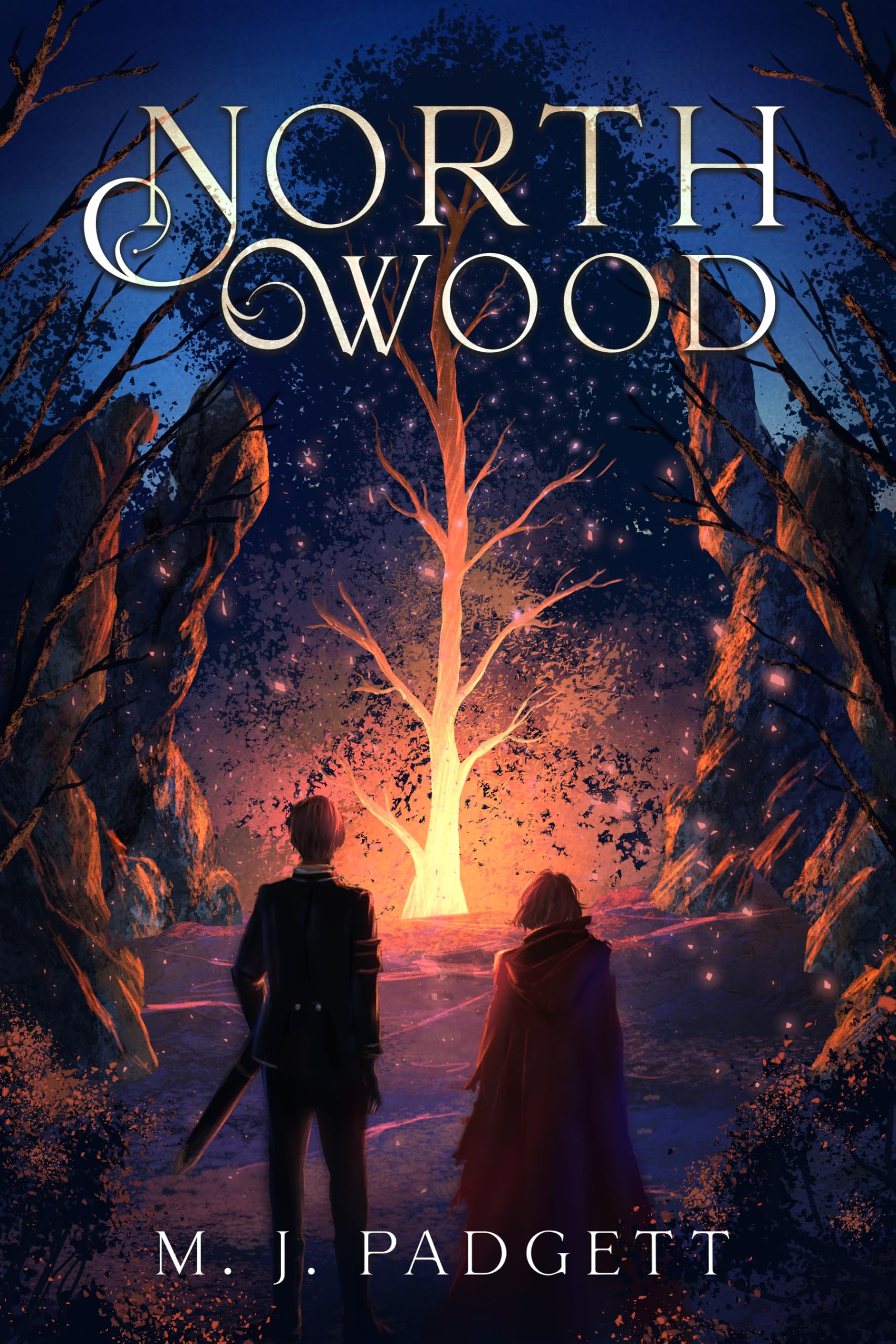 Northwood (Adventures in Faeleara Book 1)