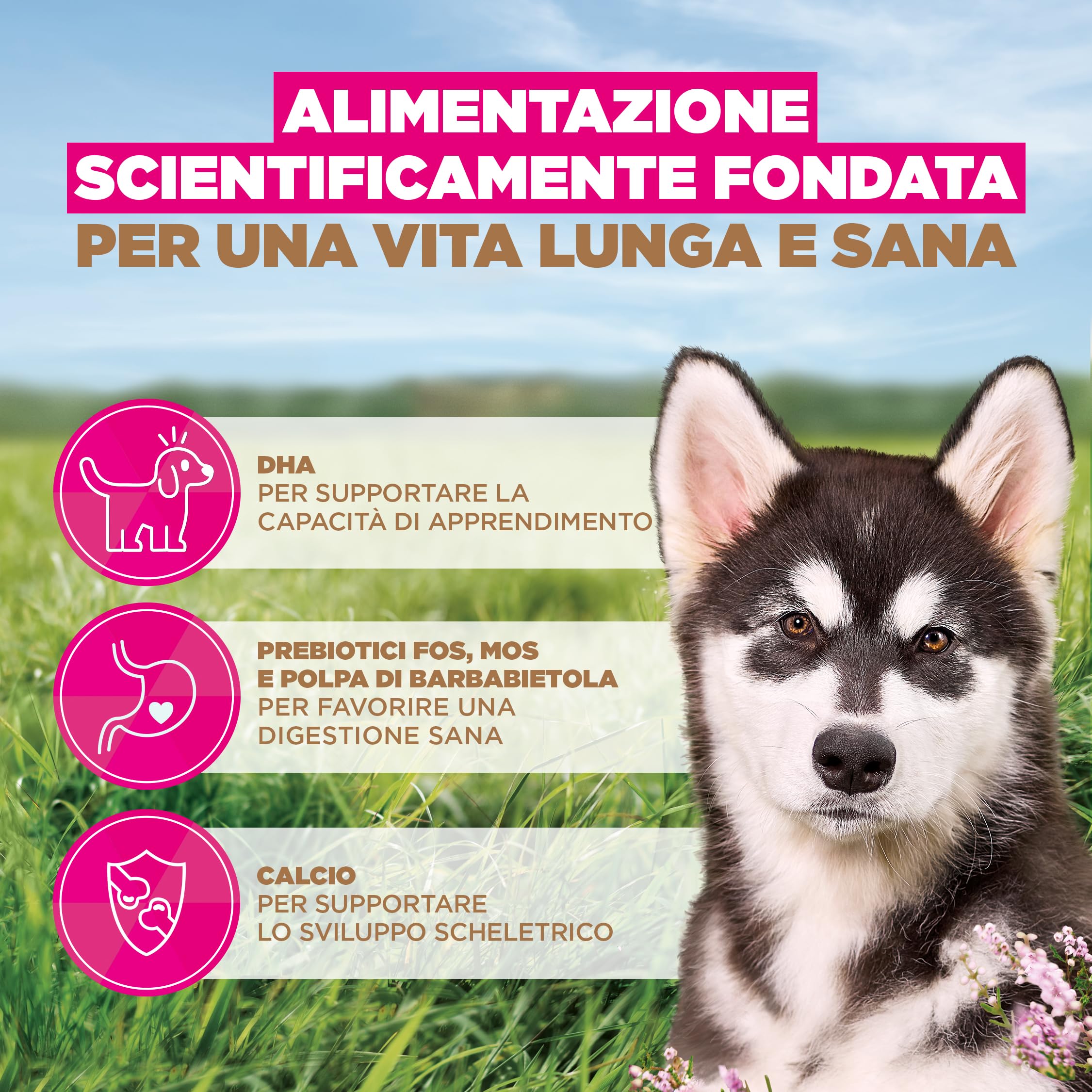 EUKANUBA Cibo secco per Cuccioli senza cereali con pesce per razze di taglia grande - Alimento secco premium privo di cereali per Cani giovani, 12 kg