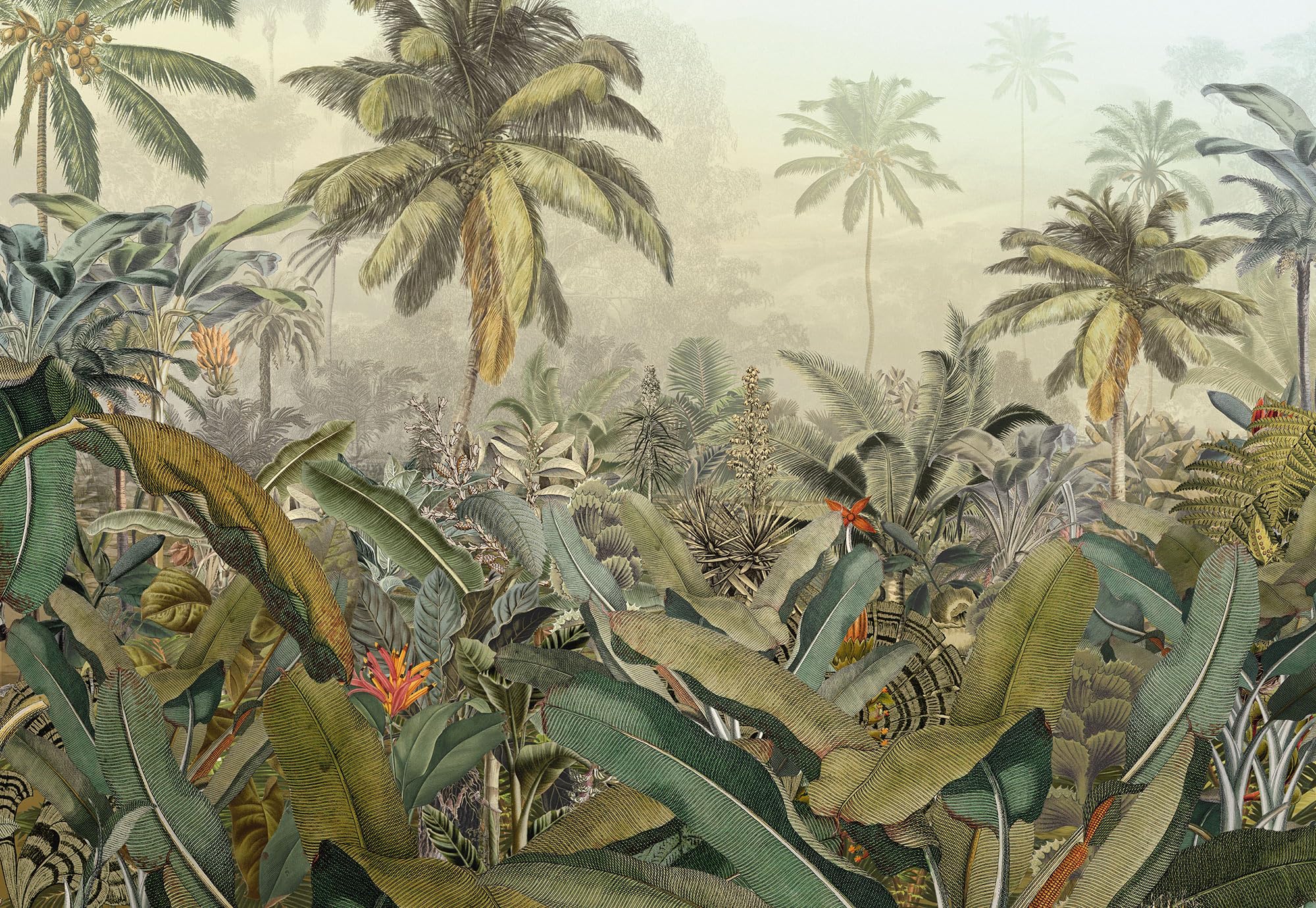 Vlies Fototapete - Amazonia - Größe 368 x 248 cm