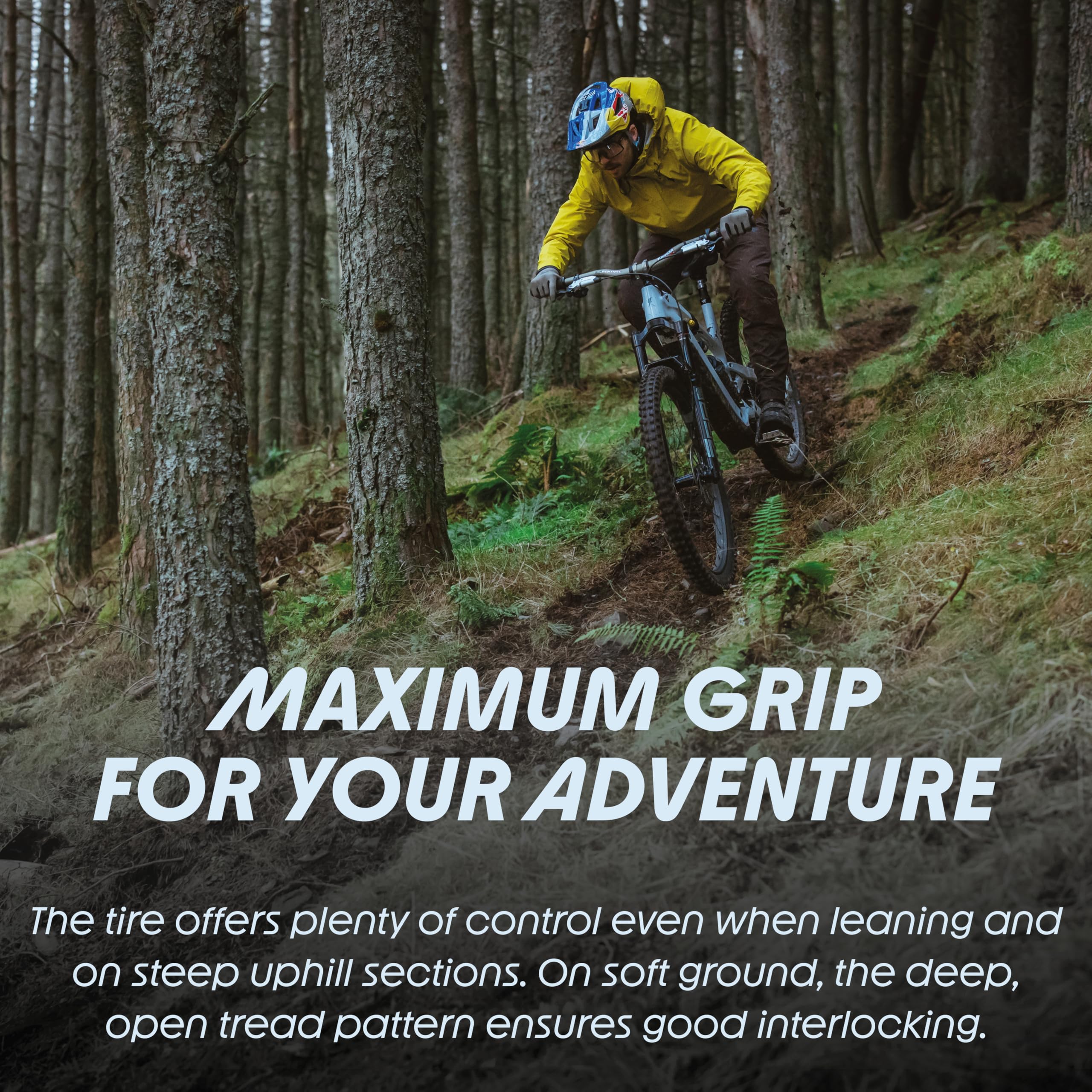 Schwalbe Shredda TLR - Neumático Plegable Trasero