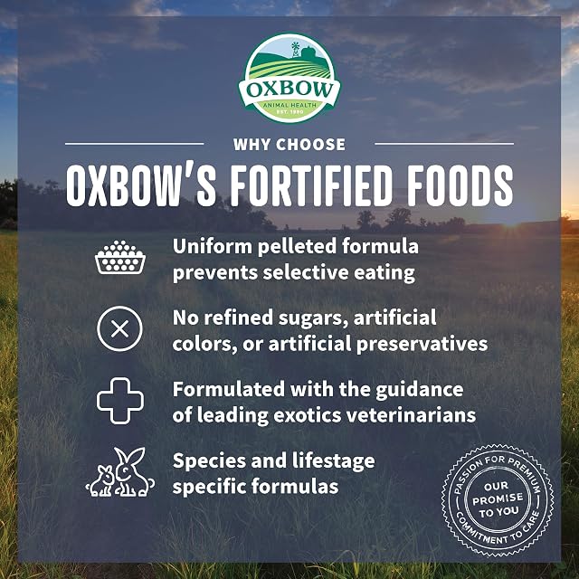 Foto 4 de 6 de Oxbow Animal Health Essentials Deluxe Chinchilla Food, 25 libras de