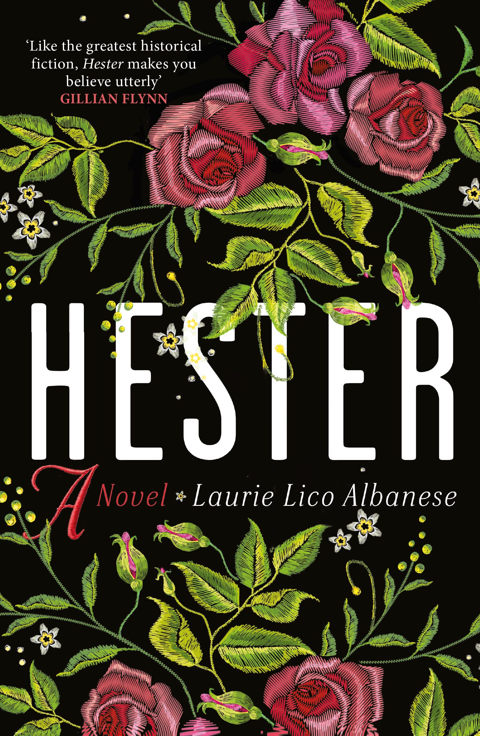 Hester by Laurie Lico Albanese PAPERBACK 9780715654842