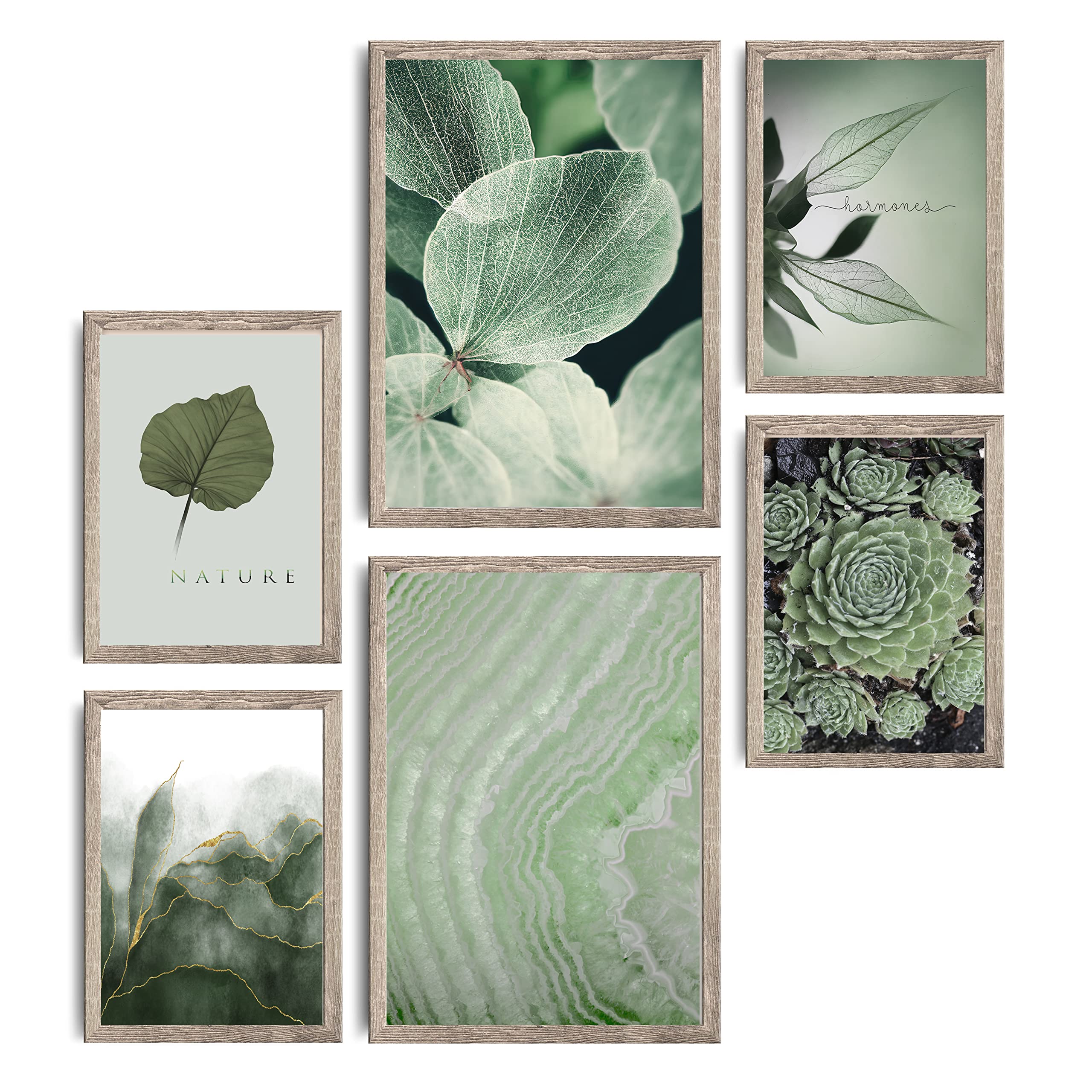 decomonkey - Set di 6 Poster SENZA Cornice Natura Paesaggio 2 x DIN A4