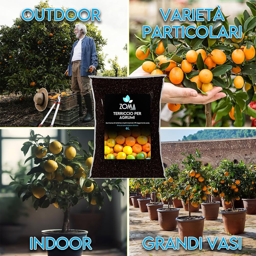 ZOMA Terriccio Per Agrumi Professionale - Con Humus Di Lombrico E PH Acido, Sacco Da 2 Litri - Foto 10