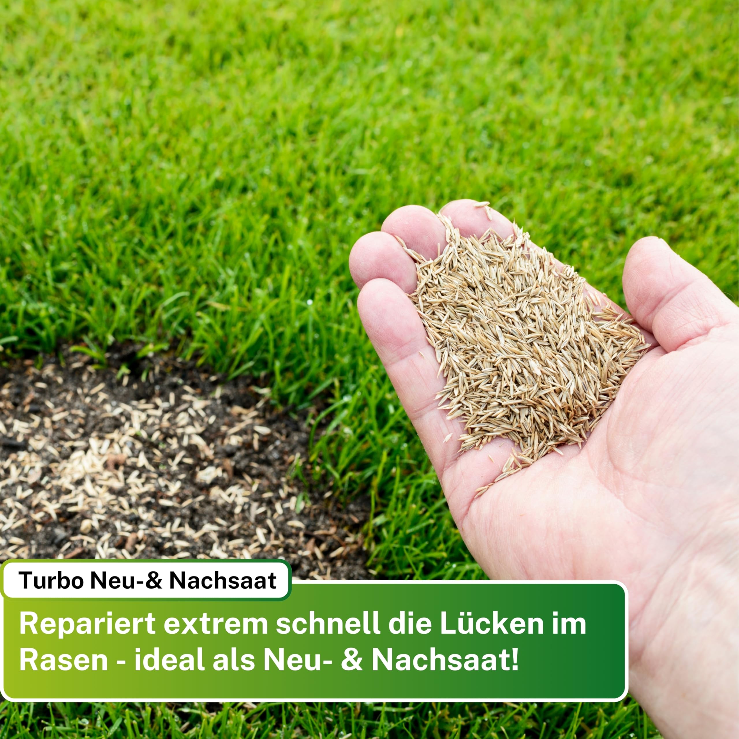 Greenyp Turbo Nachsaat RSM 3.2 I Rasensamen schnellkeimend Frühjahr I 10kg für 400m² I Ideal gegen Lücken als Neu- & Nachsaat I 100% RSM Rasensamen I Grassamen Rasensaat Gras Reparaturrasen