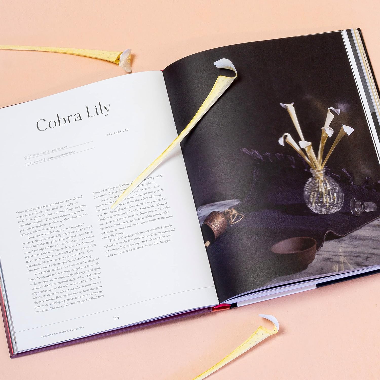 Uncommon Paper Flowers: Extraordinary Botanicals and How to Craft Them