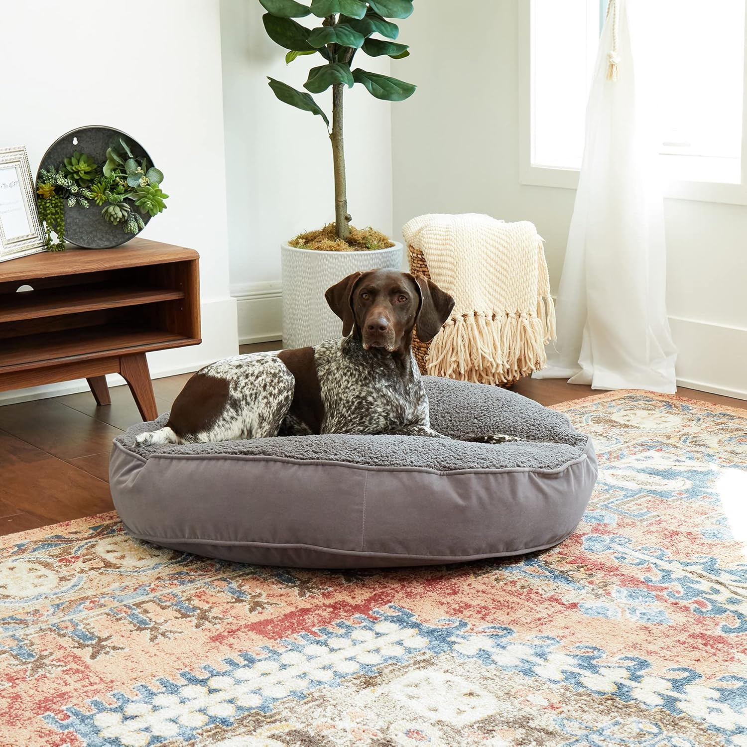 Happy Hounds Scout Deluxe Round Pillow Style Sherpa Dog Bed, Medium (36 x 36 in.), Pewter