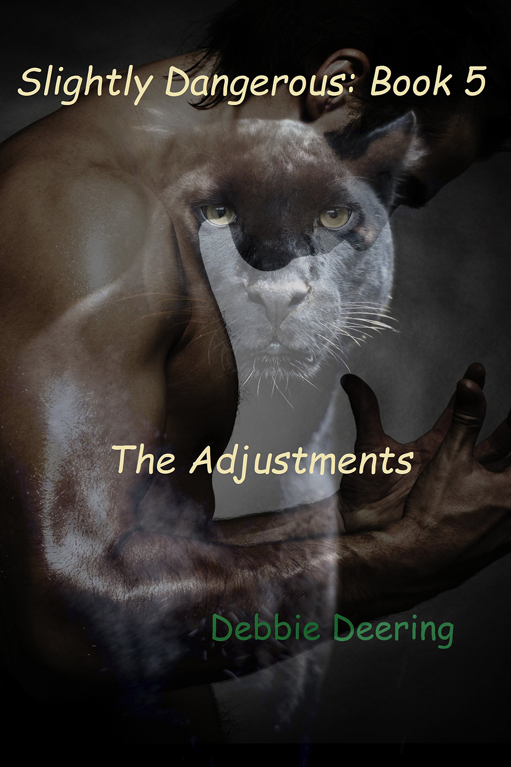The Adjustments (Slightly Dangerous Book 5)