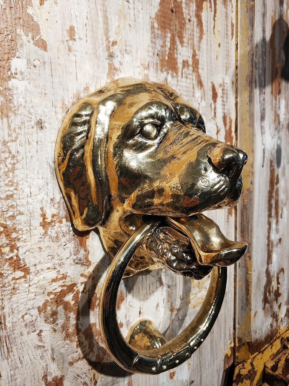 Dog Door Knocker,Solid Brass,7.9 inches, Labrador Retriever Head,Front Door Ornament(Antique Brass)