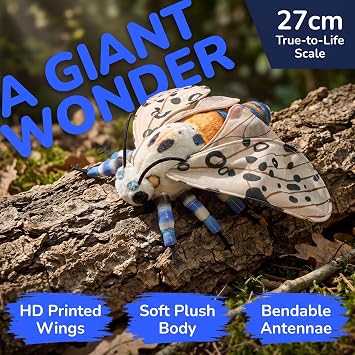 lilizzhoumax White and Black Leopard Moth Plush Toy, 27 cm / 10.6 in, Cute Soft Stuffed Moth for Nature Display, Insect Collection and Gift