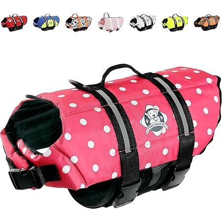 paws aboard life jacket