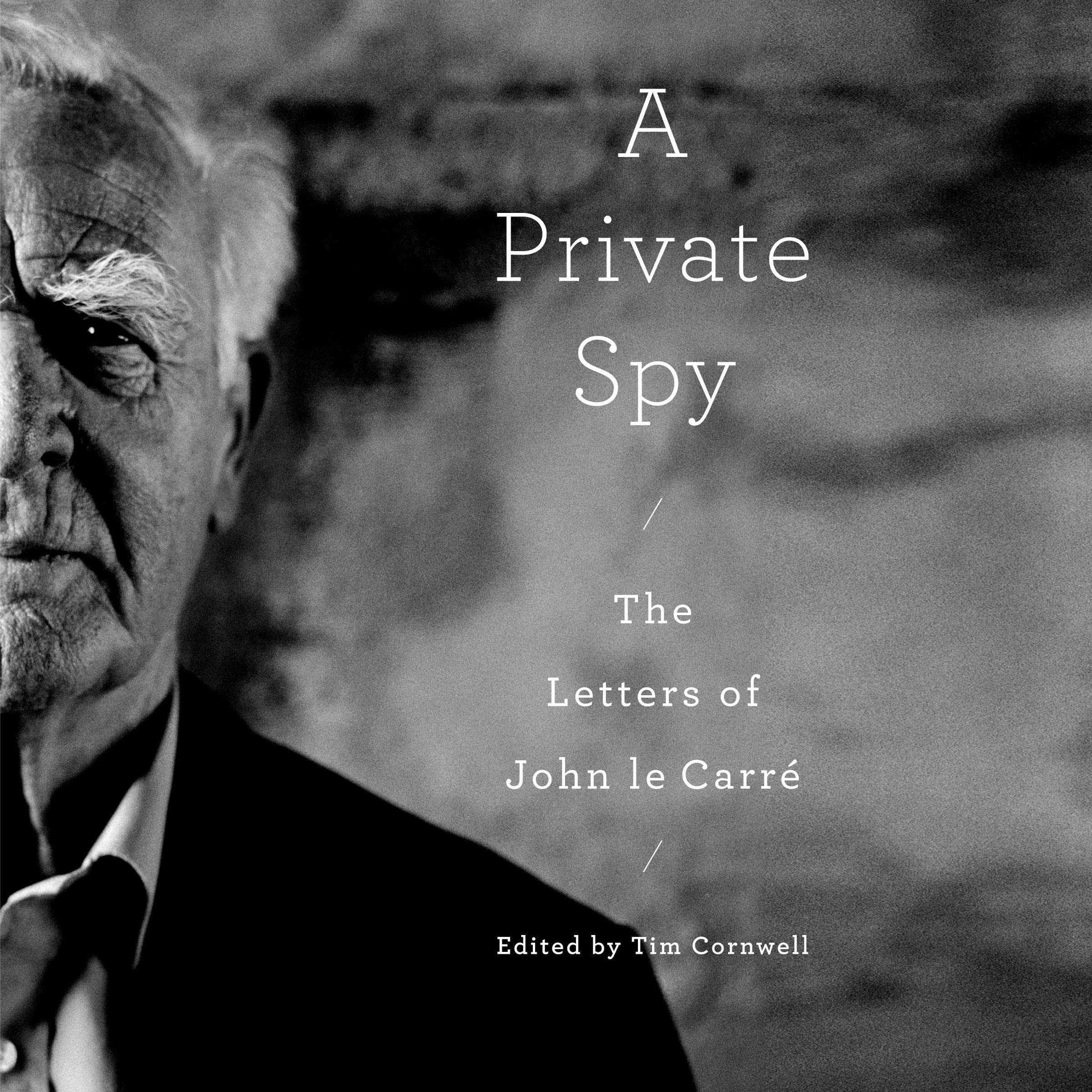 Cover art for A Private Spy