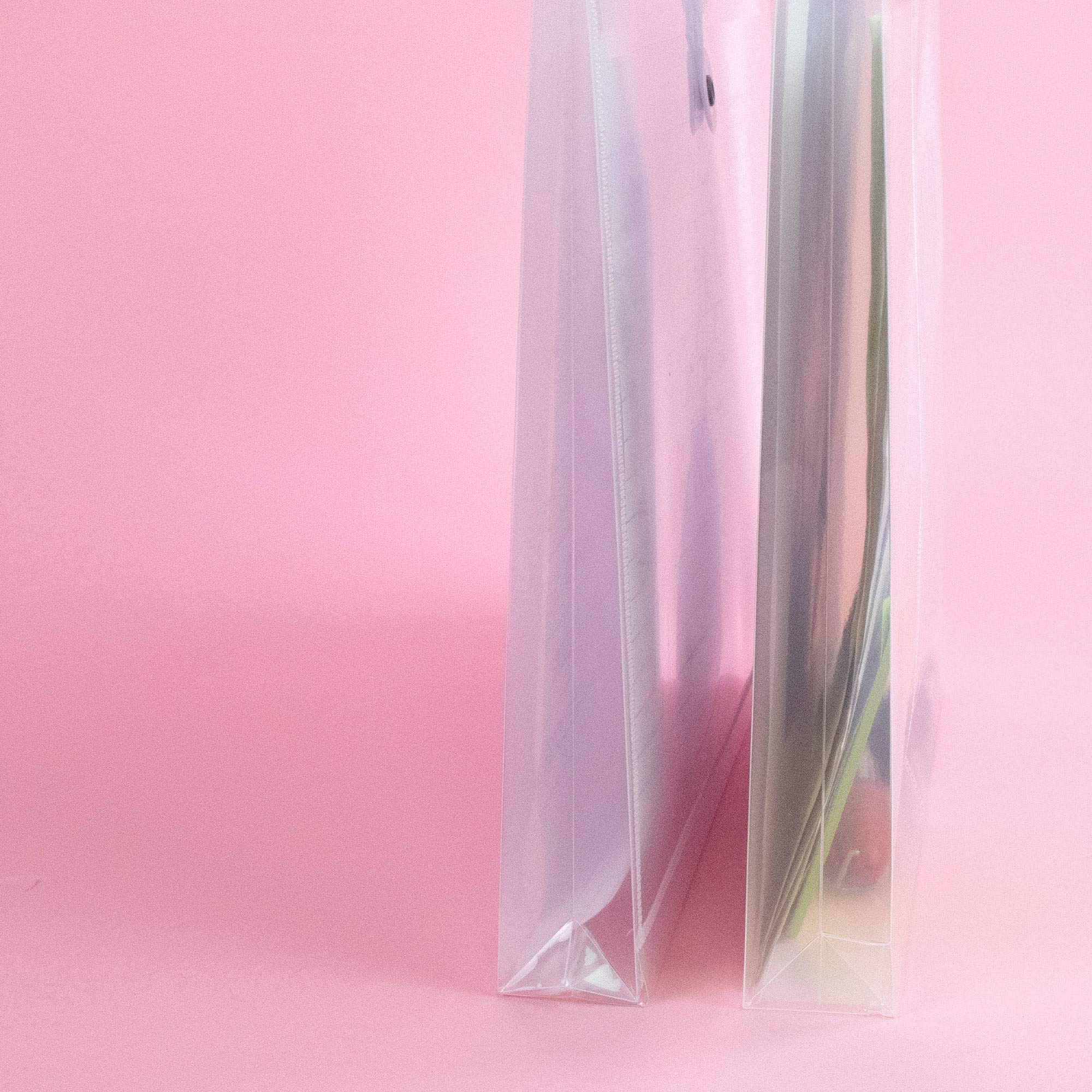Poly String Envelopes BAZIC Plastic Envelope Folders - 2-Pack Clear ...