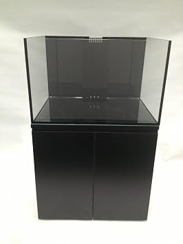 SCA 66 Gallon Starfire Rimless Aquariums Pnp System 32x24x20 10mm with Built-in Overflow