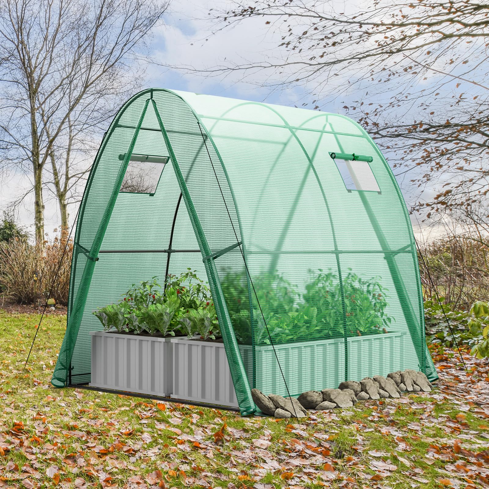GYMAX Serra da Giardino, 181x181x200cm, Serra a Tunnel con 2 Finestre Avvolgibili e 2 Porte con Cerniera, Copertura in PE, Resistente al Vento, ai Raggi UV, Serra Invernale per Orto e Piante (Verde)