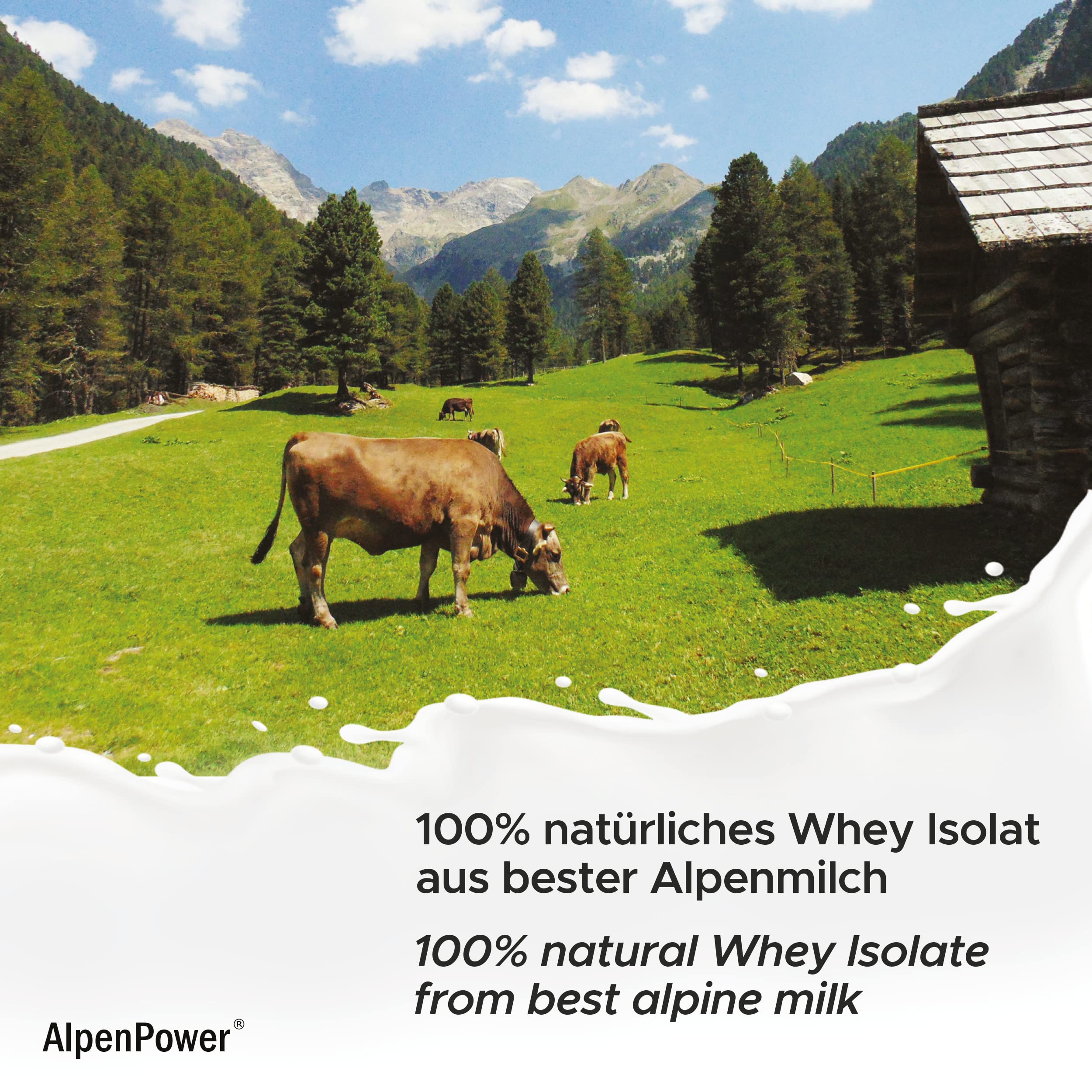 AlpenPower Whey Isolat białko w proszku czekoladowym 1 kg – 100% naturalne składniki, bez substancji słodzących – karmienie trawą – wysokiej jakości białko w proszku z najlepszego mleka alpejskiego