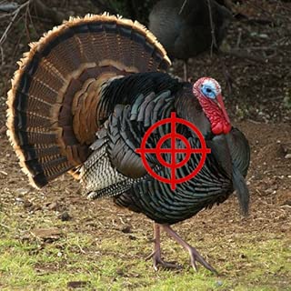 Turkey Hunter 2014 - coolthings.us