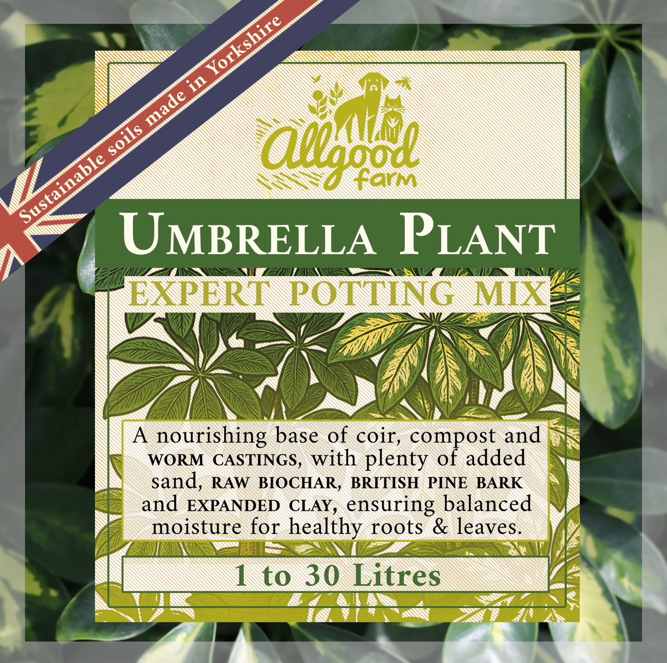 Allgood Farm Umbrella Plant Soil - Expert Potting Soil Mix for Schefflera arboricola, actinophylla, Dwarf Umbrella Tree (5 Litres)