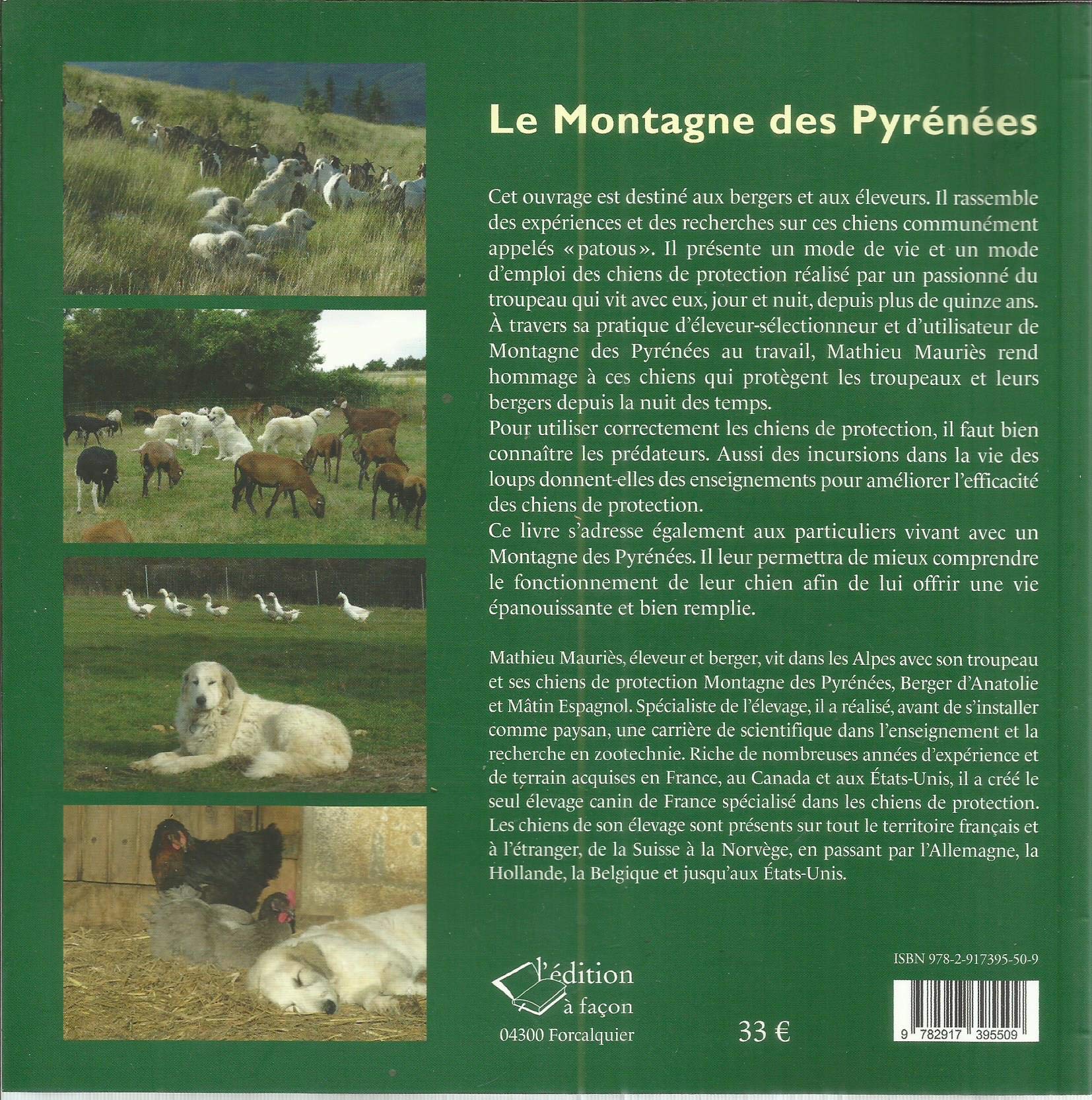Le montagne des Pyrénées : chien de protection de troupeaux : élevage, sélection, éducation, utilisation