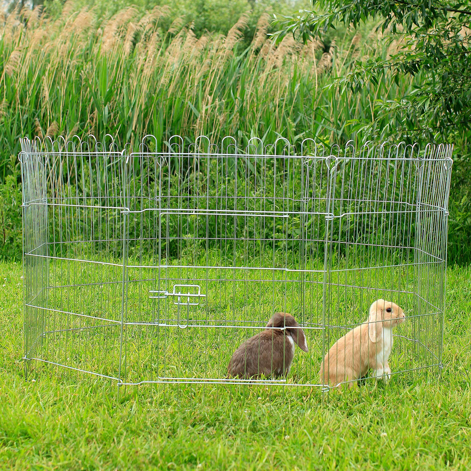 lionto Recinto per Cani Gatti Cuccioli Gabbia per Animali di Piccola Taglia, (L) 59x78 cm