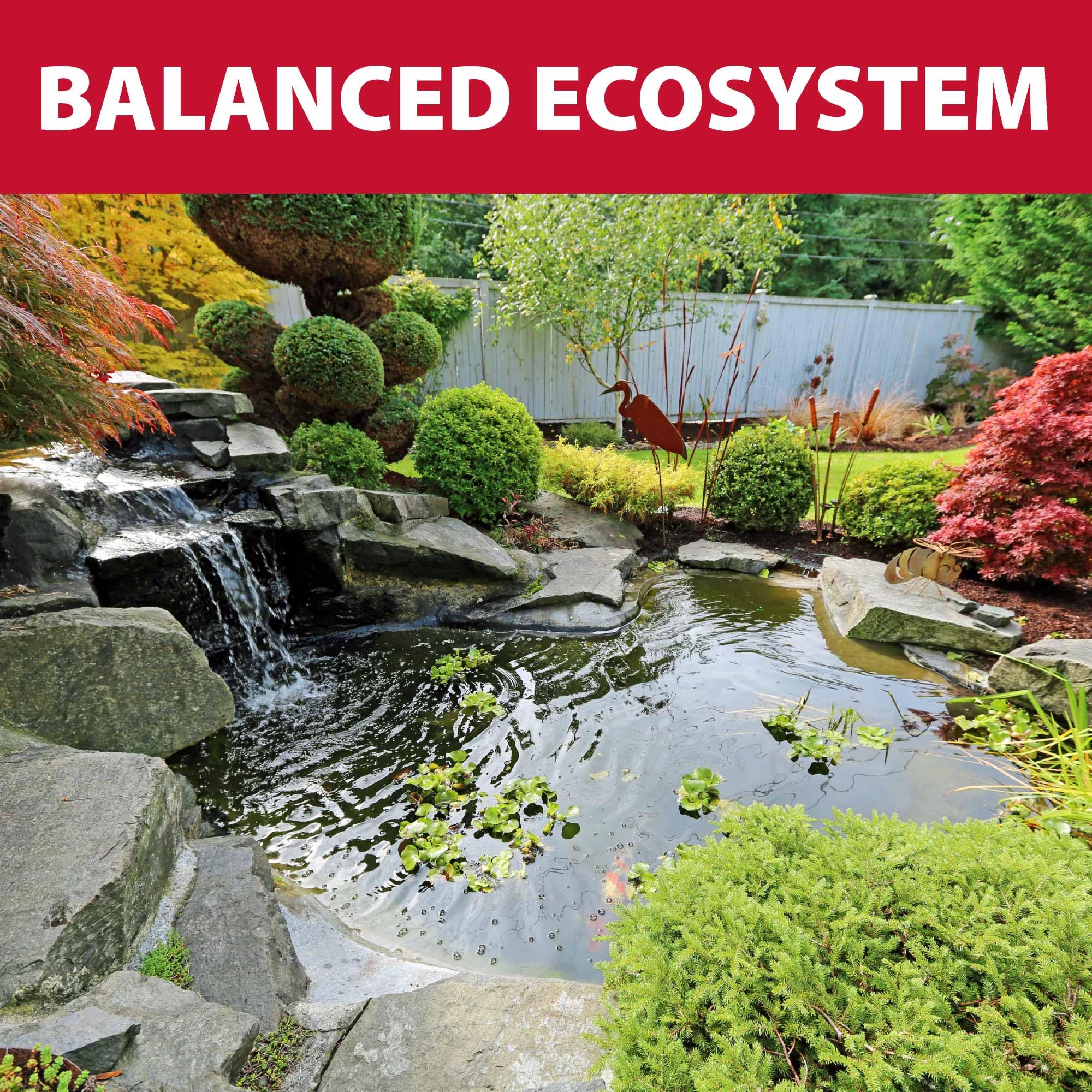 The Pond Guy AllClear G3 - Filtro a pressione biologico e chiarificatore a luce ultravioletta con sistema di backflush e filtro UV esterno pressurizzato, filtrazione biologica e meccanica, Koi Fish