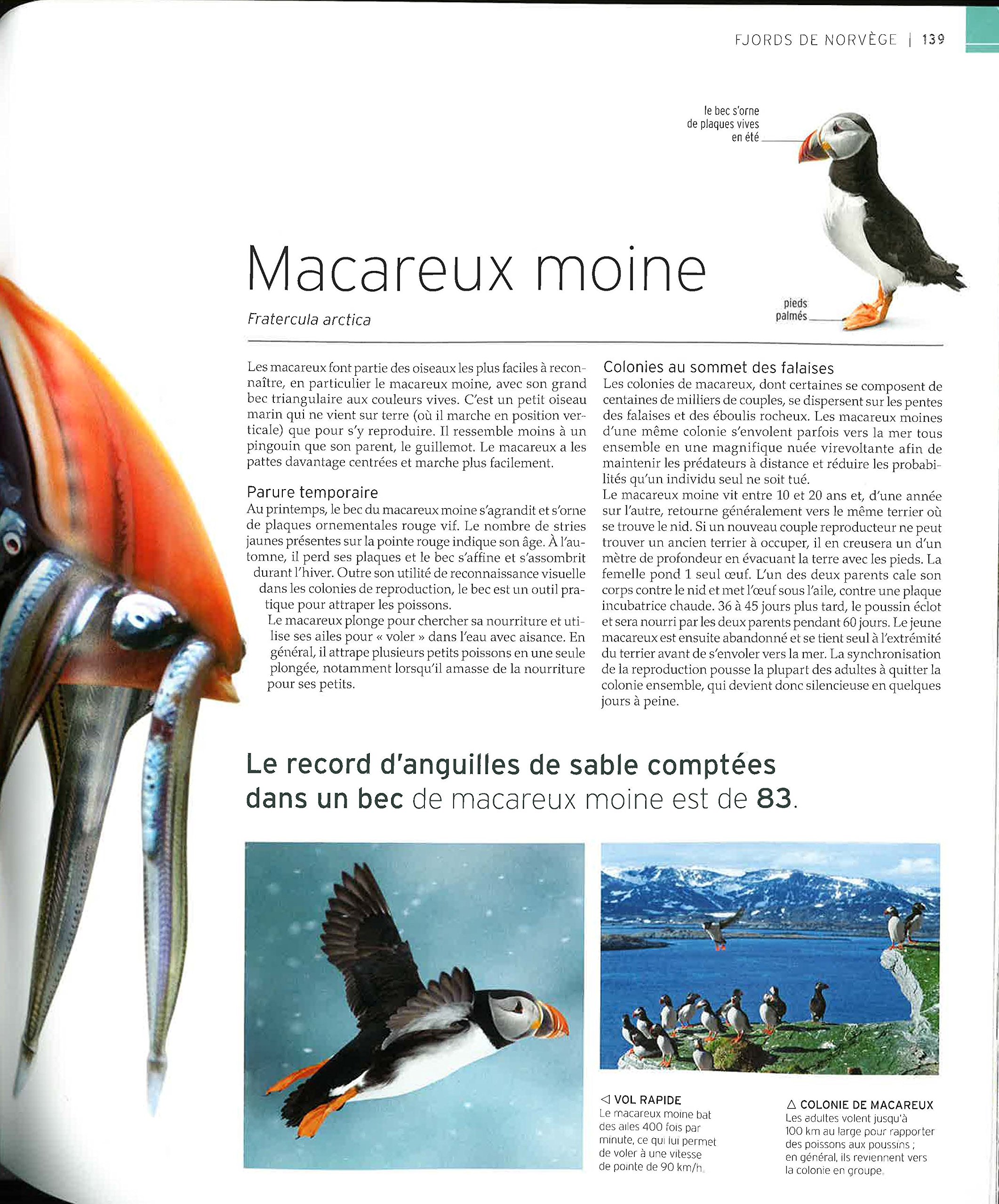 Vie sauvage: Encyclopédie visuelle des animaux, continent par continent