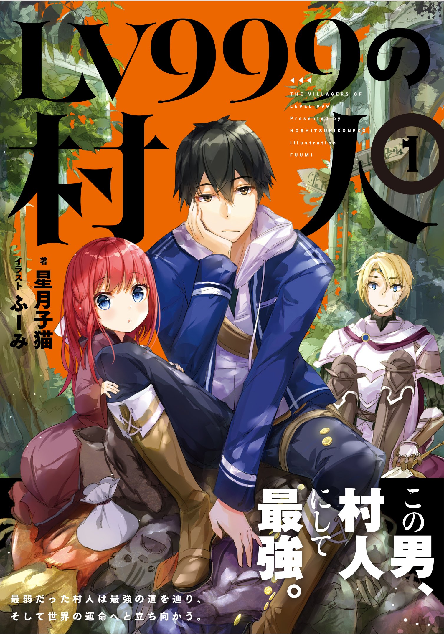 Lv999の村人 1 星月 子猫 ふーみ 本 通販 Amazon