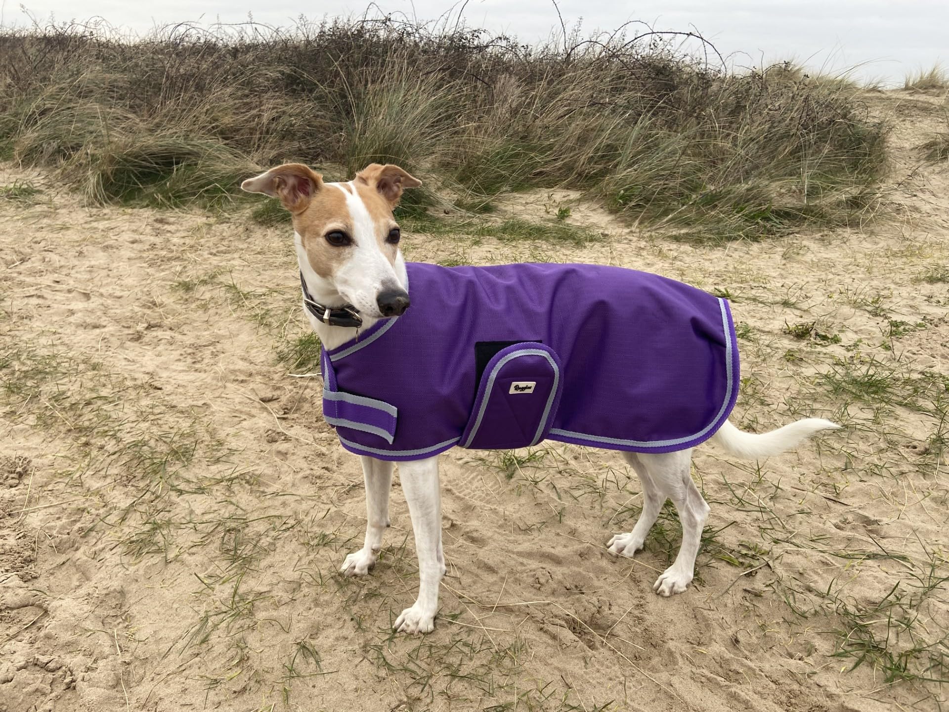 Ruggles Waterproof Dog Coat - Breathable, fleece lined dog rain jacket (Purple, 12")